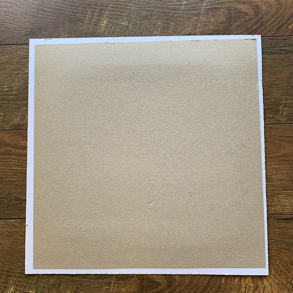 Albert Koetsier Purple Orchid X Ray Print Unframed - Picture 5 of 6